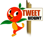 Little Orange Bird Tweeting